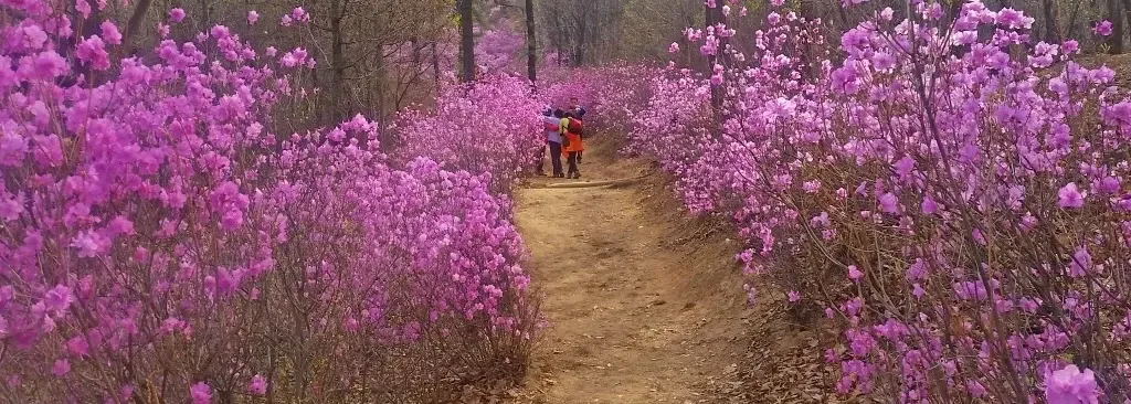 청계산 등산코스