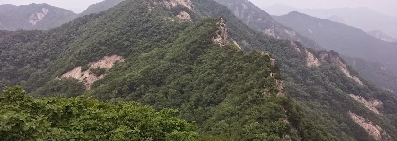 계룡산 동학사코스