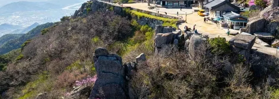 비슬산 대견사코스 산행 사진