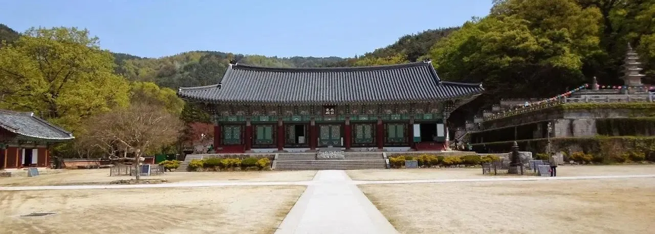 모악산 금산사코스 산행 사진
