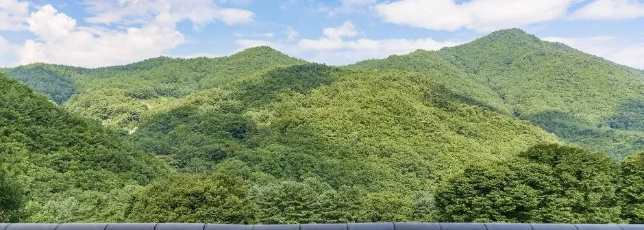 소백산 삼가코스