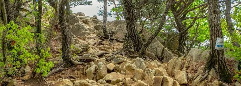 관악산 서울대 계곡코스