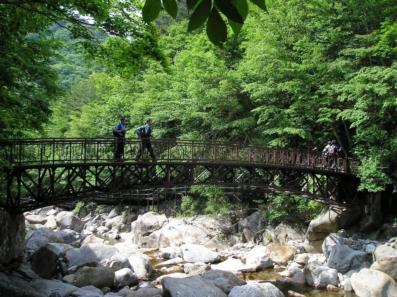 지리산 뱀사골계곡코스