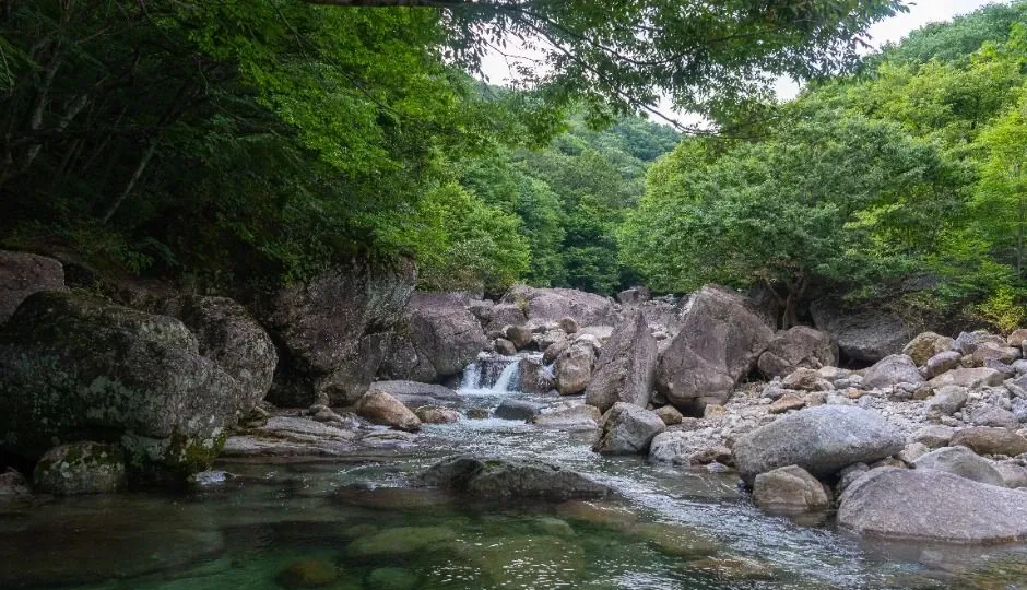 지리산 피아골코스