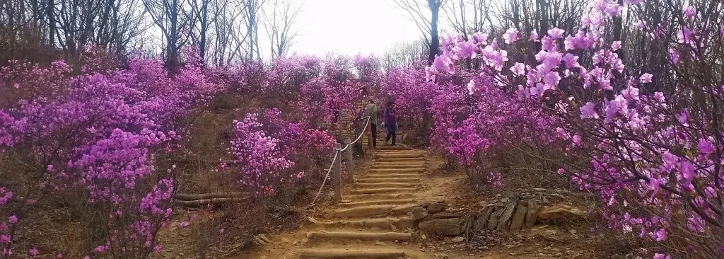 청계산 원터골코스