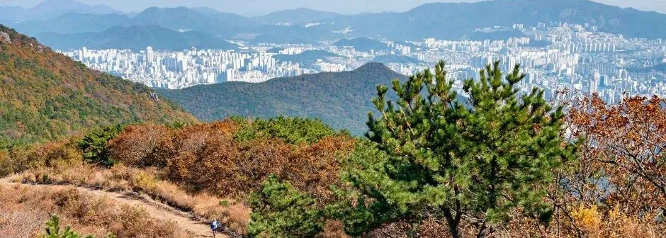 부산 백양산 등산코스 대표 사진
