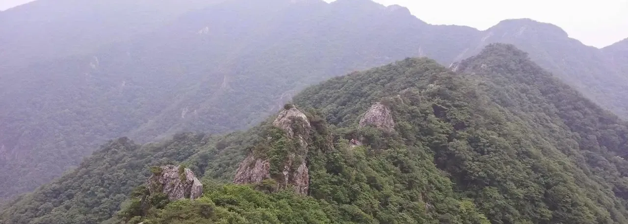 계룡산 등산코스