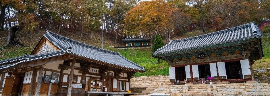 칠갑산 장곡사코스 산행 사진