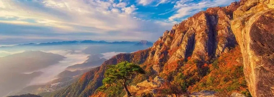 대둔산 등산코스