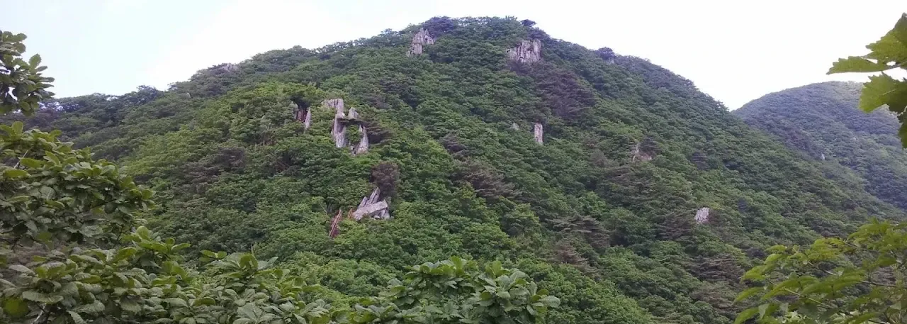 팔공산 부인사·서봉코스