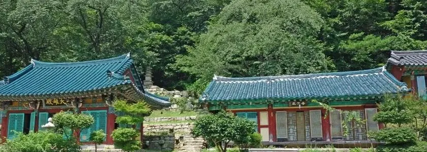 모악산 대원사코스 산행 사진