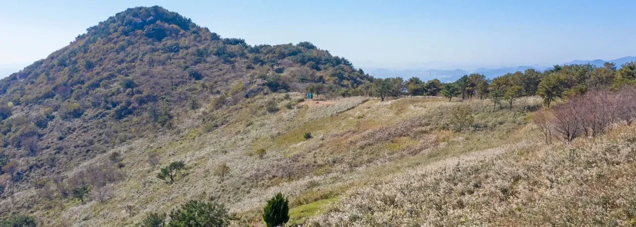 부산 승학산 억새평원코스 산행 사진