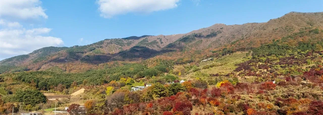 오서산 등산코스 대표 사진