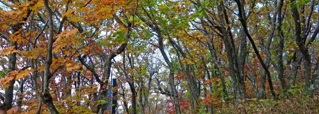 오대산 동대산코스