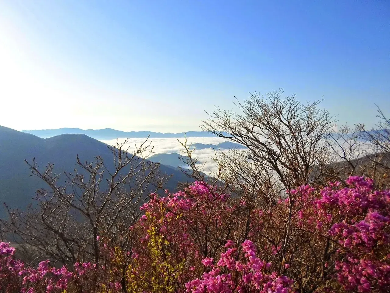 지리산 등산코스