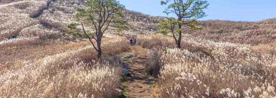 민둥산 급경사코스