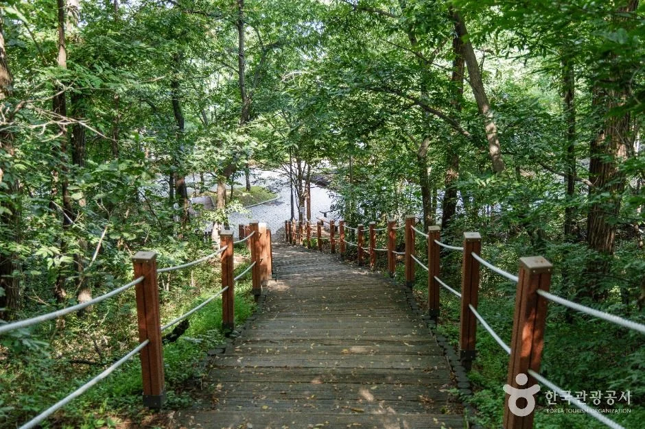 MTB 싱글 코스
