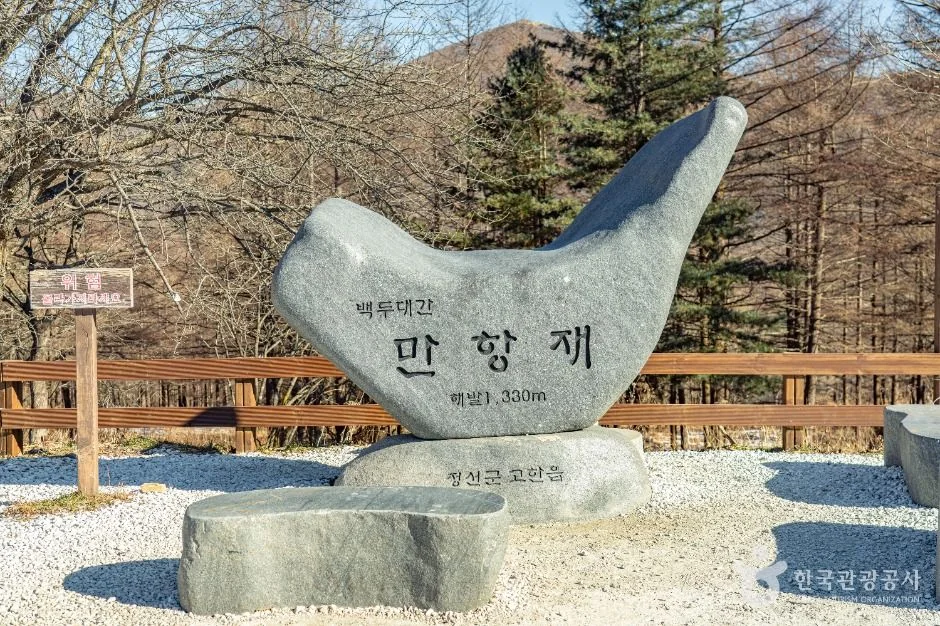 MTB 임도·그래블 코스