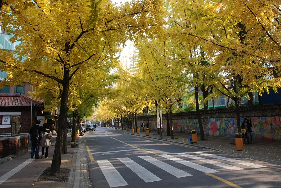 한양도성길 5코스 숭례문구간