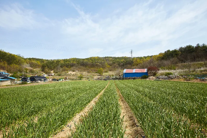 경기둘레길 33코스 (여주)